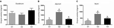 Effects of Probiotic Bacillus as an Alternative of Antibiotics on <mark class="highlighted">Digestive Enzymes</mark> Activity and Intestinal Integrity of Piglets